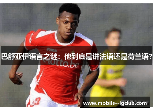 巴舒亚伊语言之谜：他到底是讲法语还是荷兰语？