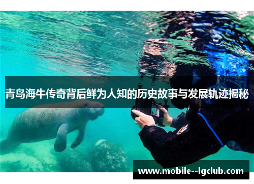 青岛海牛传奇背后鲜为人知的历史故事与发展轨迹揭秘