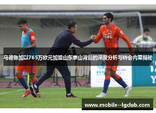 马德鲁加以765万欧元加盟山东泰山背后的深度分析与转会内幕揭秘